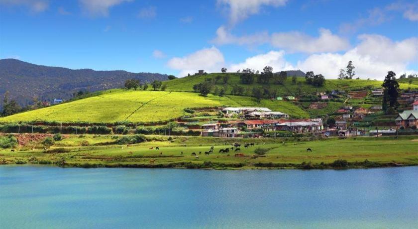 Inroma Holiday Resort Nuwara Eliya Dış mekan fotoğraf